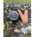 Explore Premium Shamanic Snuff For Sale Online