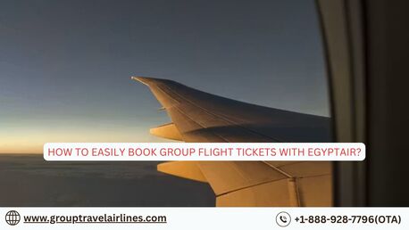 New York, Travel, How To Easily Book Group Flight Tickets With EgyptAir?