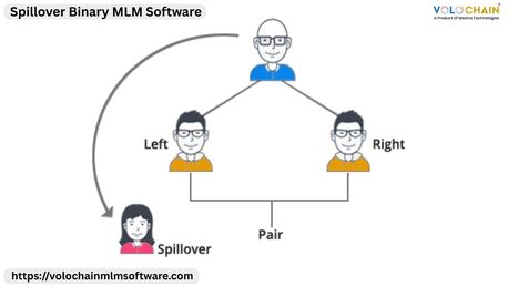 Noida, Software Development, Bring Success With Spillover Binary MLM Software Solutions