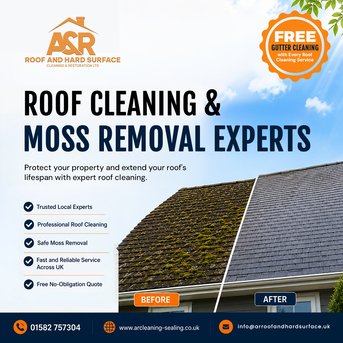 London, Cleaning, Roof Cleaning & Moss Removal Specialists
