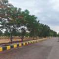 INR 16499,  186 Sq. Yard,  Plots For Investment In Hyderabad - Srisailam Highway 9701498367