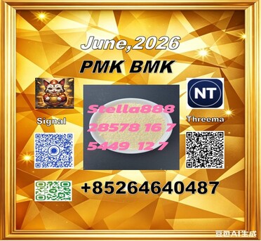 Hong Kong, Materials, CNY 100,  Cas 5449-12-7 Bmk And 28578-16-7 P M K Best Price