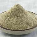 Biopolymers Manufacturer In India