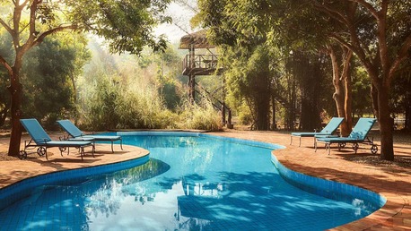 Mumbai, Travel, Luxury Villas For Rent In Dudhwa | Forest Hideaway Stay
