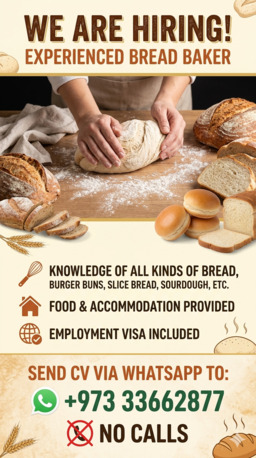Gudaibiya, Jobs, Urgently Looking For A Bread Baker