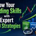Grow Your Trading Skills With Expert F&O Strategies