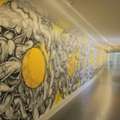 Custom Wall Graphics & Office Wall Decals In Tomball TX | LGL Sign Company, LLC
