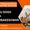 Reliable Puja Booking For Pitru Dosh And Narayan Nagbali