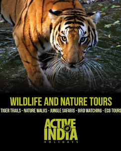New Delhi, Events, Book Golden Triangle Tour & India Nepal Trip Packages In Delhi
