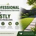 How Professional Garden Maintenance Services Prevent Costly Garden Problems