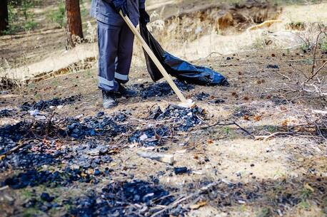 New York, Business, Reliable Storm Damage Cleanup Services By Giles Outdoor Masters