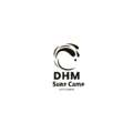 Where Can You Enjoy The Best Surf Lombok Experience? | DHM Surf Camp