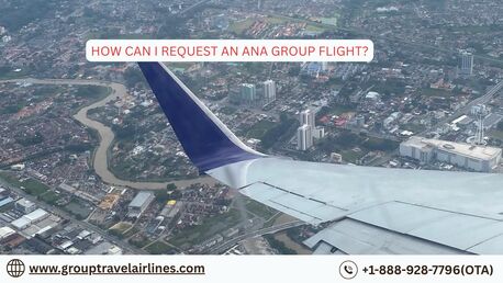 New York, Travel, How Can I Request An ANA Group Flight?
