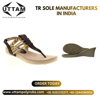 Haryana, Machinery, INR 50000000,  TR Sole Manufacturers In India