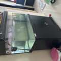 BHD 50,  Aquarium With Arowana Fishes -2 Nos