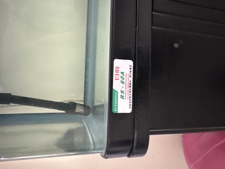Hidd, Pet Supplies, BHD 50,  Aquarium With Arowana Fishes -2 Nos