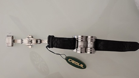 Olaya, Watches, SAR 5500,  Cardial Watch