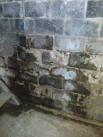 New York, Cleaning, Crawl Space Mold Removal To Protect Your Home