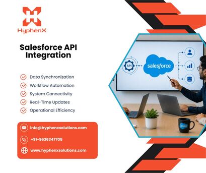 New York, Software Development, Salesforce API Integration