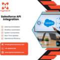 Salesforce API Integration