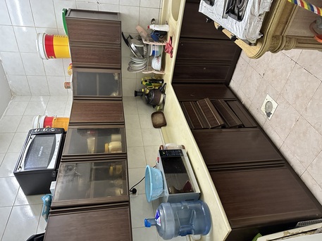 Dammam, Rooms for Rent, SAR 650/month,  Furnished,  650/month Room Available In Family Apartments For Pakistani Executives Only