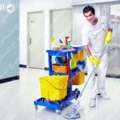 Hospital Cleaner Job