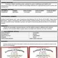 Looking For A Job