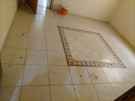 Khobar, Apartments, Flats, Houses & Villas, SAR 23500/year,  4 BR,  0 Sq. Meter,  Family Apartment For Rent (4 Rooms, Hall, Two Bathrooms, Two Entrances)