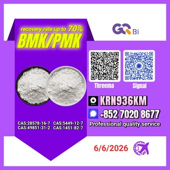 Kabul, Books, AFN 123,  CAS:28578-16-7//CAS:49851-31-2 BMK/PMK Extraction Rate Up To 70%