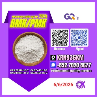 Tirana, Books, ALL 123,  CAS:5449-12-7//CAS:28578-16-7BMK/PMK Extraction Rate Up To 70%