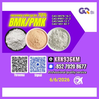 Tirana, Books, ALL 123,  CAS:28578-16-7-CAS:49851-31-2 BMK/PMK Extraction Rate Up To 70%