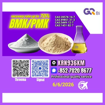 Kabul, Books, AFN 123,  CAS:28578-16-7//CAS:5449-12-7 BMK/PMK Extraction Rate Up To 70%