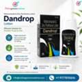 Dandrop Lotion (Ketoconazole) | Anti Fungal Medication For Dandruff And Scalp
