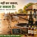 जो काम AI नहीं कर सकता, वो बैल कर सकता है: कोल्हू &