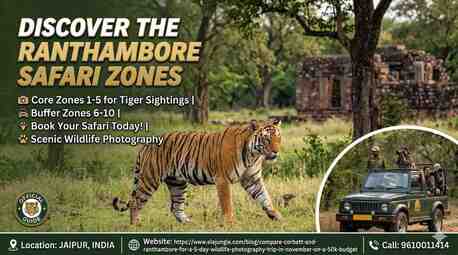 Jaipur, Travel, Discover The Best Ranthambore Safari Zones For Spotting Tigers