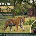 Discover The Best Ranthambore Safari Zones For Spotting Tigers