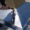 Aluminum Welding Fabricator Welder