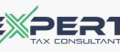 Expert Tax Consultant