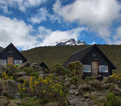 New York, Travel, Best Mountain Climbing Tours In East Africa