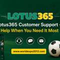 Lotus365 Customer Support &mdash; Help When You Need It Most