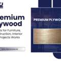Premium Plywood Designed For Strength And Lasting Performance UAE