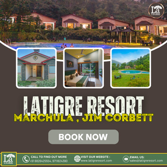 Mumbai, Travel, Summer Vacation Resort In Marchula , Jim Corbett