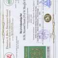 Civil Supervisor