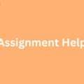 Unlock Higher Grades With Expert AI Assignment Help UK