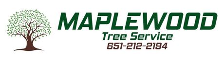 New York, Business, Maplewood Tree Service