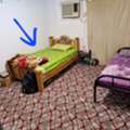SAR 100,  Wooden Single Big Bed, Very Good Condition, Double Matress