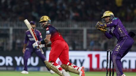 New Delhi, Business, Lotus 365 Online Betting Platform For Sports And Casino Fans
