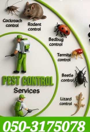 Al Sharafiyah, Pest Control, &hearts;︎HANAN PROFESSIONAL&hearts;︎PEST CONTROL&hearts;︎SOLUTION ALL&hearts;︎TYPES WITH 6&hearts;︎MONTHS GUARANTEED&hearts;︎