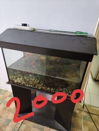 Al Sulaymaniyyah, Furniture, SAR 3000,  House Hold Items For Sale