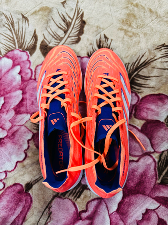 Dammam, Clothing & Accessories, SAR 250,  Adidas Predator Shoes